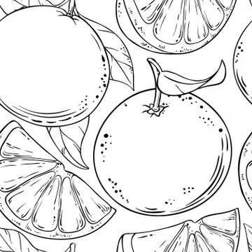 Grapefruit fruits vector pattern Stock Illustration