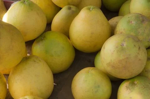 Grapefruit gold Stock Photos