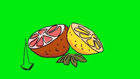 Grapefruit - Hand Drawn - Green Screen Stock Footage