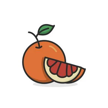 Grapefruit hand drawn illustration flat color Stock Illustration