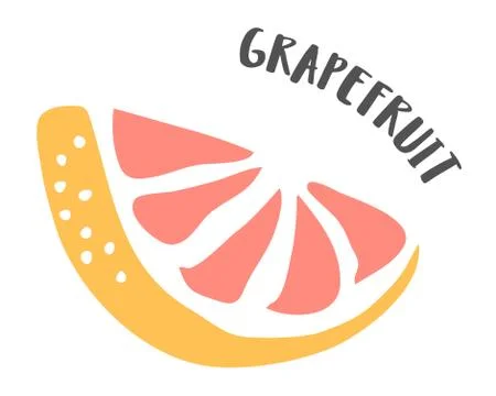 Grapefruit hand painted with ink brush isolated on white background Stock Illustration