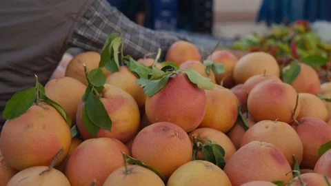 Grapefruit harvest. many grapefruits. grapefruit top view on fresh fruit market Stock Footage 228844344