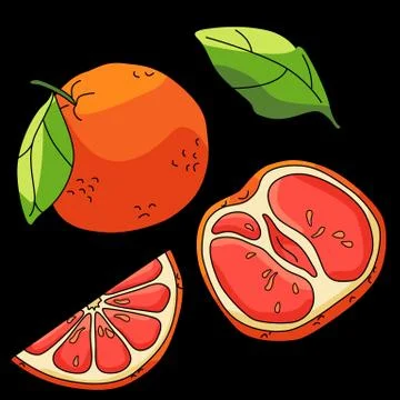 Grapefruit icon set on black backdrop stock vector illustration Stock Illustration