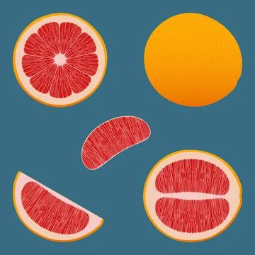 Grapefruit Stock Illustration
