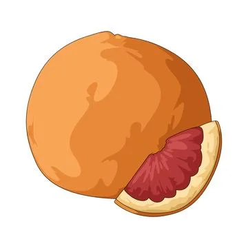 Grapefruit illustration Stock-Illustration