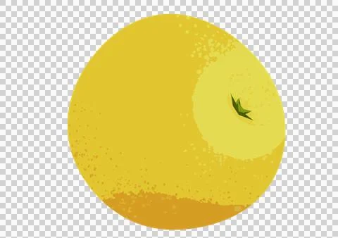 Grapefruit illustration with transparent background Stock Illustration