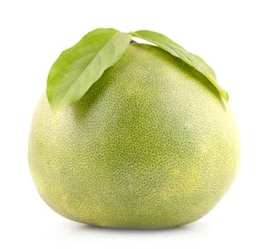 Grapefruit isolated on white background Stock Photos