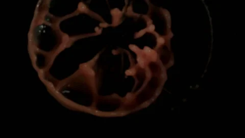 Grapefruit juice bouncing against to the camera Stock Footage 88490129