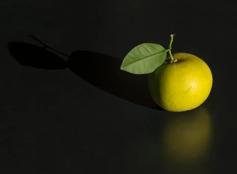 Grapefruit with leaf Stock Photos