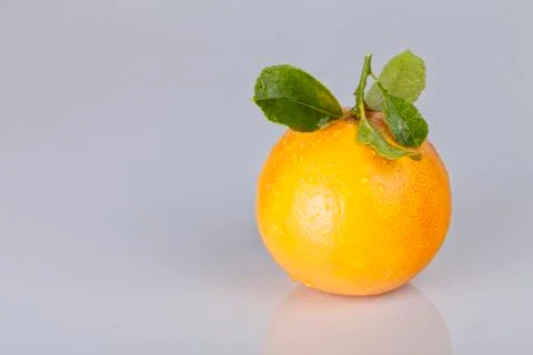 A grapefruit with leaves on gray background Stock Photos