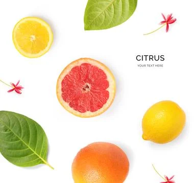 Grapefruit lemon citrus fruit Stock Photos