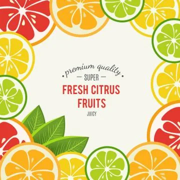 Grapefruit, lime, lemon and orange with mint leaves Stock Illustration