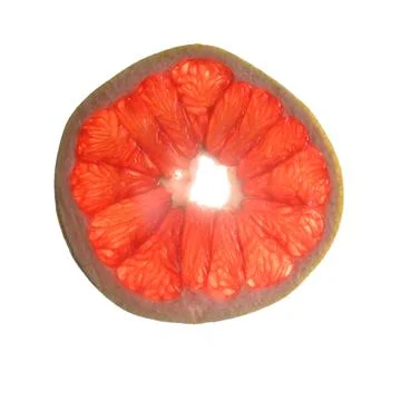 Grapefruit macro circle section photo HD on white background Stock Photos