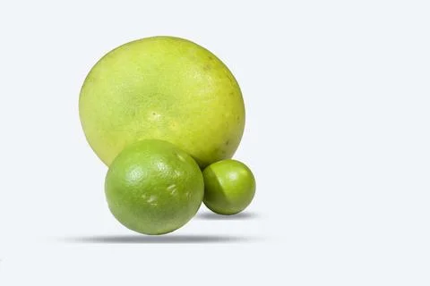 Grapefruit or pomelo of all sizes. Best quality retouch. Stock Photos