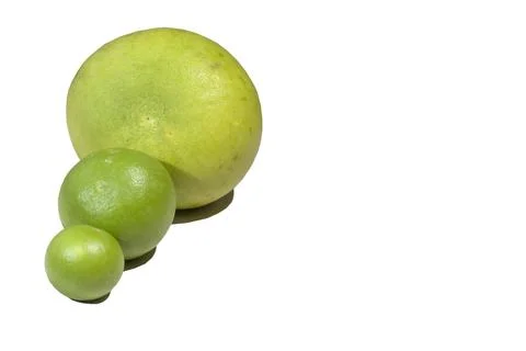 Grapefruit or pomelo of all sizes. Best quality retouch. Stock Photos