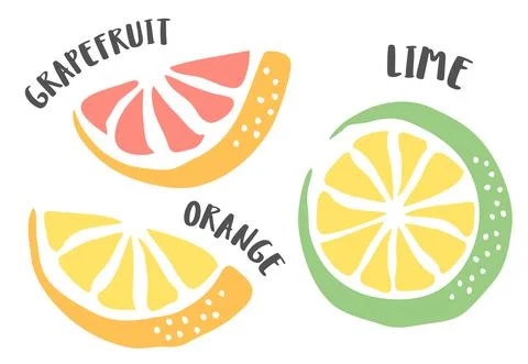 Grapefruit, Orange and Lime hand painted with ink brush Stock Illustration