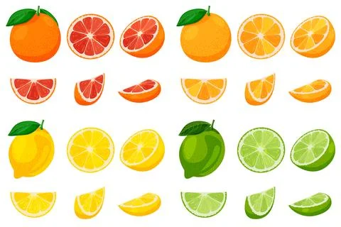 Grapefruit, orange, lemon, lime set. Vector flat cartoon illustration. Citr.. Stock Illustration