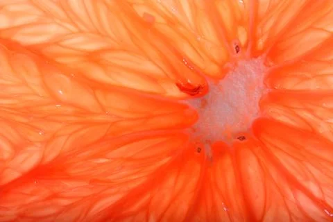 Grapefruit Stock Photos
