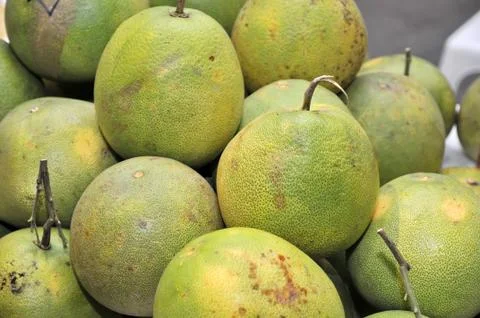 Grapefruit Stock Photos