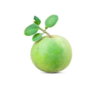 Grapefruit Foto stock