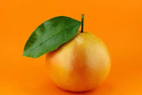 Grapefruit Stock Photos