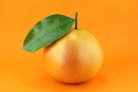 Grapefruit Stock Photos