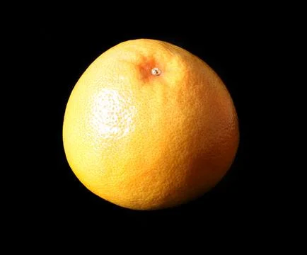 Grapefruit Stock-Fotos