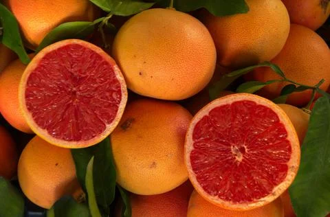 Grapefruit Stock Photos