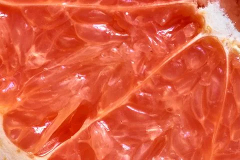 Grapefruit Stock Photos