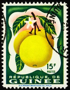 Grapefruit on postage stamp Stock Photos