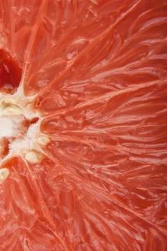 Grapefruit pulp Foto stock
