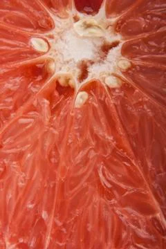 Grapefruit pulp Stock Photos