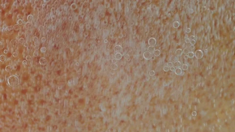 Grapefruit revealing vibrant segments and juicy texture on a colorful background Video stock 313298855