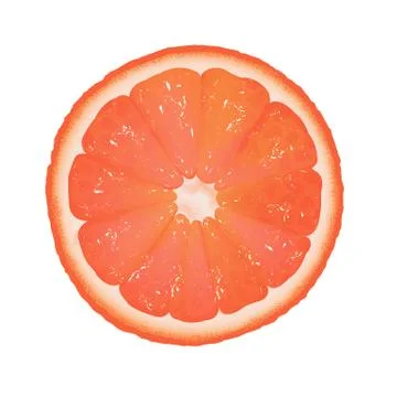 Grapefruit segment Stock Illustration