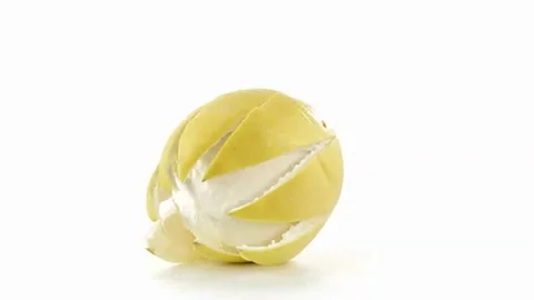 Grapefruit side view Stock-Footage 98247619