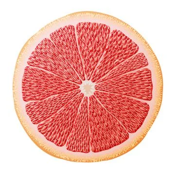 Grapefruit slice close up Stock Illustration