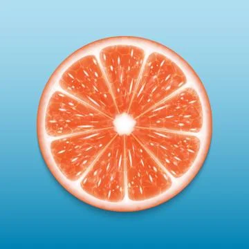 Grapefruit slice Stock Illustration