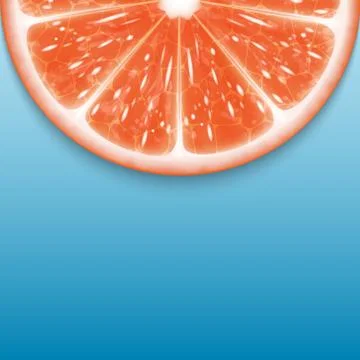 Grapefruit slice Stock Illustration