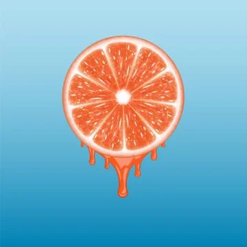Grapefruit slice Stock Illustration
