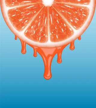 Grapefruit slice Stock Illustration