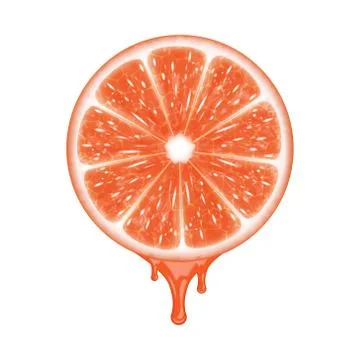 Grapefruit slice Stock Illustration