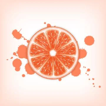 Grapefruit slice Stock Illustration