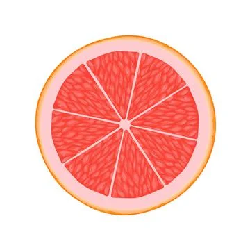 Grapefruit slice illustration for web isolated on white background Illustrazione stock