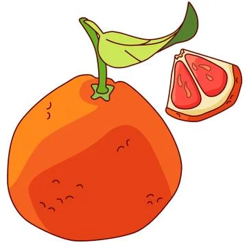 Grapefruit slice sticker set on white isolated backdrope stock vector illustr Stock Illustration