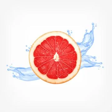 Grapefruit slice with water Stock Illustration