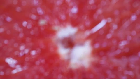 Grapefruit Slices In Extreme Close Up Video stock 97292767