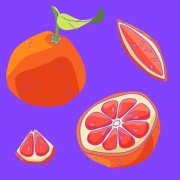 Grapefruit slices icon set on violet backdrop stock vector illustration Stock Illustration