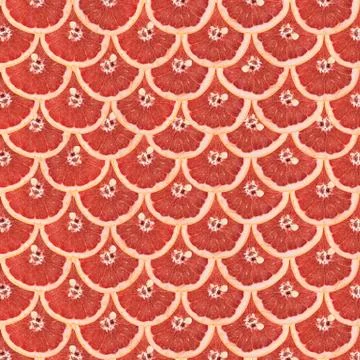 Grapefruit slices Stock Illustration