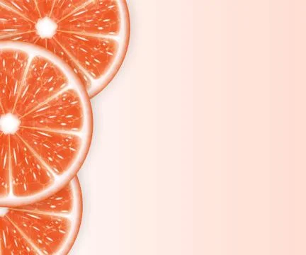 Grapefruit slices Stock Illustration