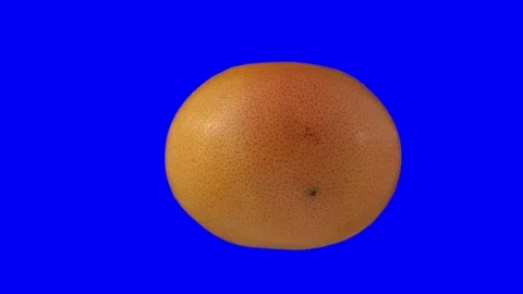 Grapefruit spin 360 degrees isolated on blue screen Stock Footage 144533651